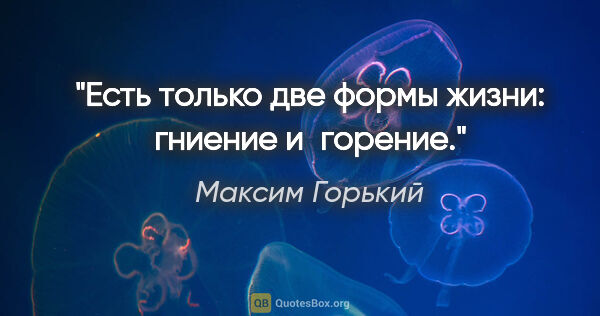 Максим Горький цитата: "Есть только две формы жизни: гниение и горение."