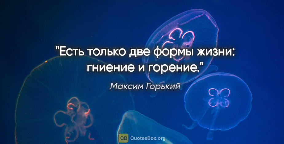 Максим Горький цитата: "Есть только две формы жизни: гниение и горение."