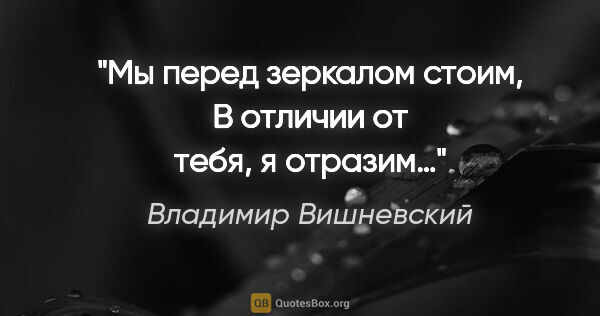 Владимир Вишневский цитата: "Мы перед зеркалом стоим,
В отличии от тебя, я отразим…"