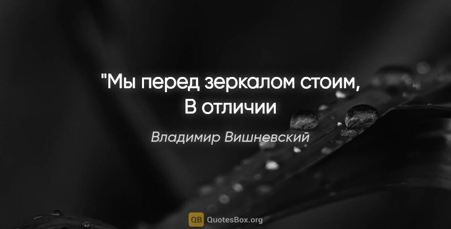Владимир Вишневский цитата: "Мы перед зеркалом стоим,
В отличии от тебя, я отразим…"