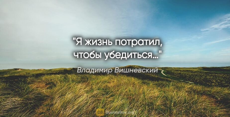 Владимир Вишневский цитата: "Я жизнь потратил, чтобы убедиться…"