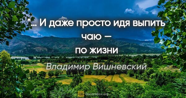 Владимир Вишневский цитата: "… И даже просто идя выпить чаю —
по жизни ничего не исключаю."