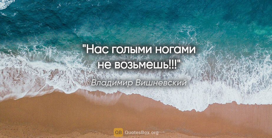 Владимир Вишневский цитата: "«Нас голыми ногами не возьмешь!!!»"
