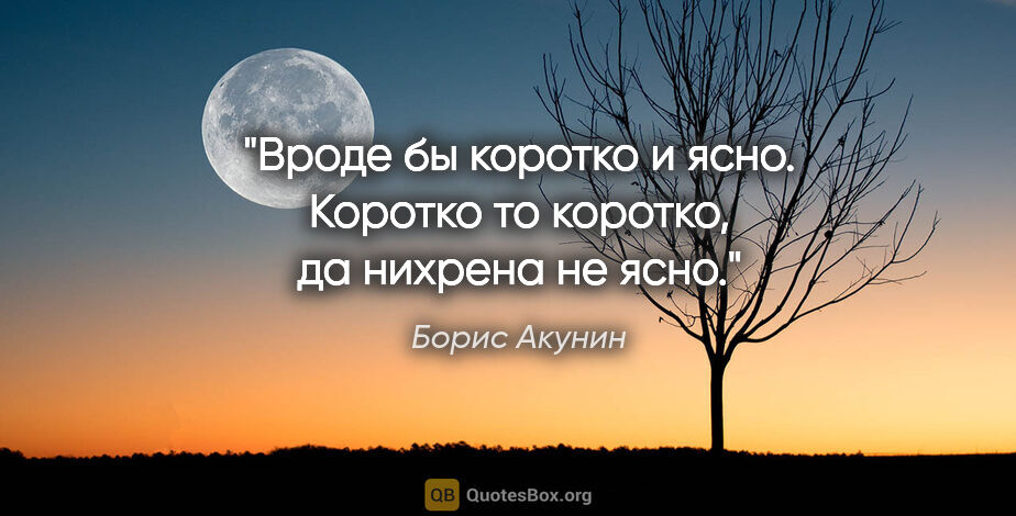 Борис Акунин цитата: "Вроде бы коротко и ясно. Коротко то коротко, да нихрена не ясно."