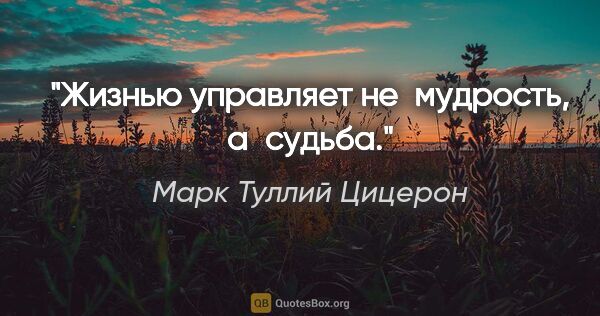 Марк Туллий Цицерон цитата: "Жизнью управляет не мудрость, а судьба."