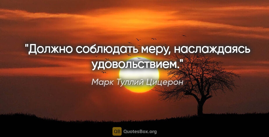 Марк Туллий Цицерон цитата: "Должно соблюдать меру, наслаждаясь удовольствием."