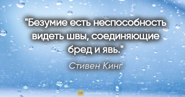 Стивен Кинг цитата: "Безумие есть неспособность видеть швы, соединяющие бред и явь."