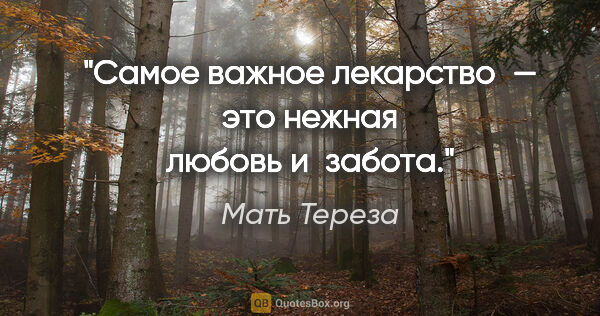 Мать Тереза цитата: "Самое важное лекарство — это нежная любовь и забота."