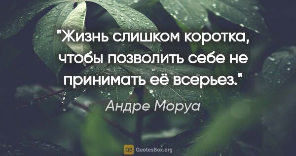 Андре Моруа цитата: "Жизнь слишком коротка, чтобы позволить себе не принимать её..."