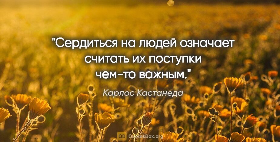 Карлос Кастанеда цитата: "Сердиться на людей означает считать их поступки чем-то важным."