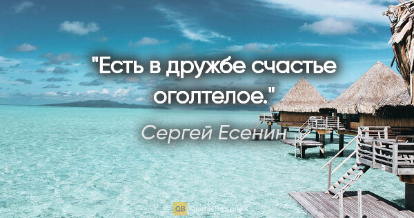 Сергей Есенин цитата: "Есть в дружбе счастье оголтелое."