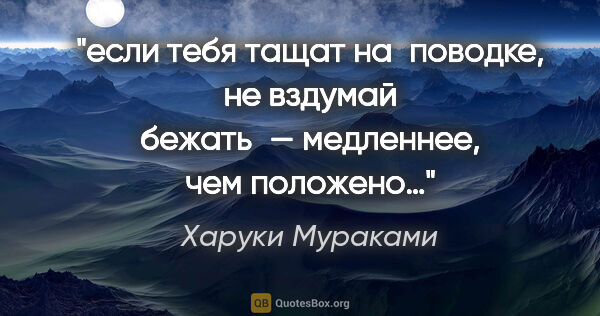 Харуки Мураками цитата: "если тебя тащат на «поводке», не вздумай бежать — медленнее,..."