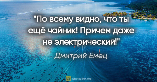 Дмитрий Емец цитата: "По всему видно, что ты ещё чайник! Причем даже не электрический!"