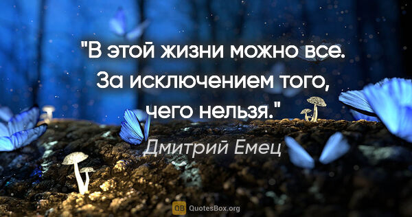 Дмитрий Емец цитата: "В этой жизни можно все. За исключением того, чего нельзя."