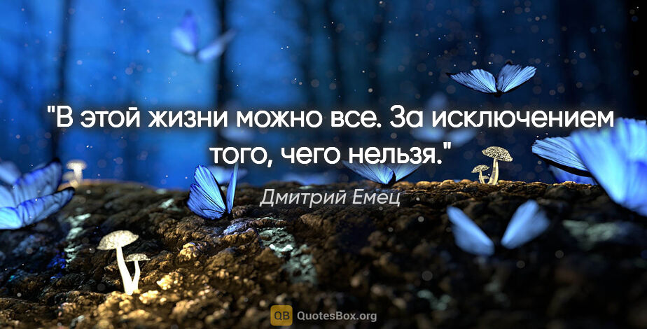 Дмитрий Емец цитата: "В этой жизни можно все. За исключением того, чего нельзя."