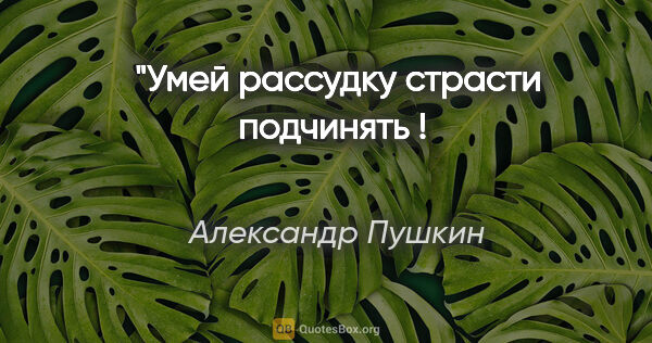 Александр Пушкин цитата: "Умей рассудку страсти подчинять ! 

Как бы не было это тяжело …"