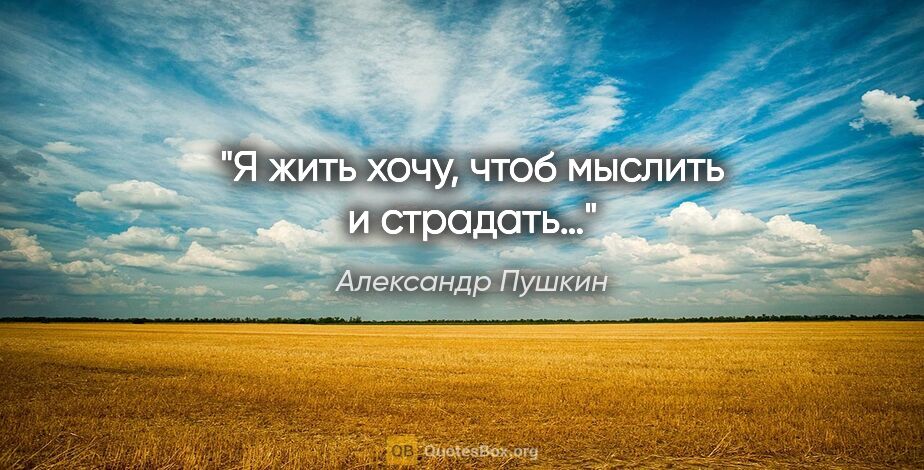 Александр Пушкин цитата: "Я жить хочу, чтоб мыслить и страдать…"