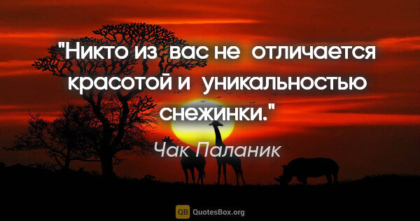 Чак Паланик цитата: "Никто из вас не отличается красотой и уникальностью снежинки."