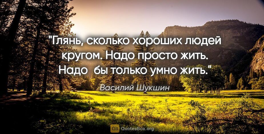 Василий Шукшин цитата: "Глянь, сколько хороших людей кругом.
Надо просто жить. Надо бы..."