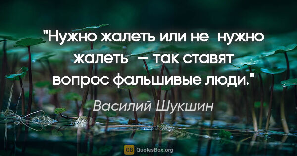 Василий Шукшин цитата: "Нужно жалеть или не нужно жалеть — так ставят вопрос фальшивые..."