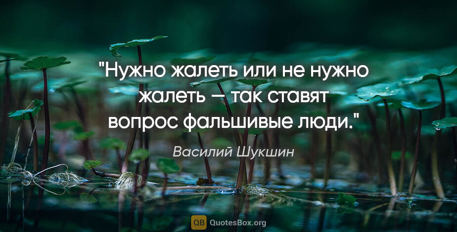 Василий Шукшин цитата: "Нужно жалеть или не нужно жалеть — так ставят вопрос фальшивые..."