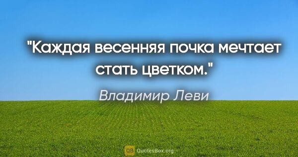 Владимир Леви цитата: "Каждая весенняя почка мечтает стать цветком."