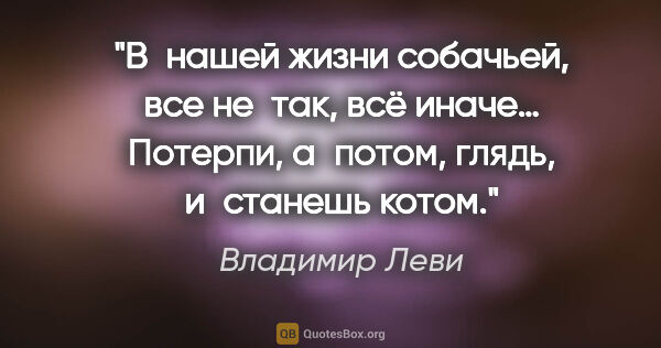 Владимир Леви цитата: "В нашей жизни собачьей, все не так, всё иначе…
Потерпи,..."