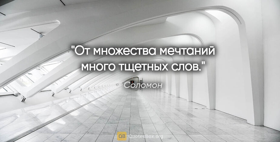 Соломон цитата: "От множества мечтаний много тщетных слов."