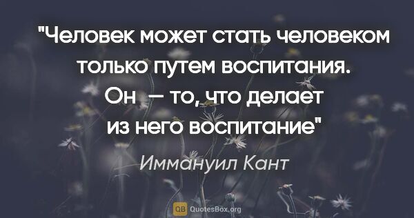 Иммануил Кант цитата: "Человек может стать человеком только путем воспитания. Он —..."