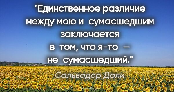 Сальвадор Дали цитата: "Единственное различие между мою и сумасшедшим заключается..."