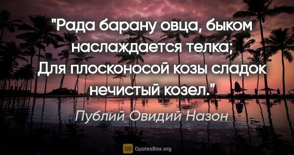 Публий Овидий Назон цитата: "Рада барану овца, быком наслаждается телка; Для плосконосой..."