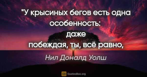 Нил Доналд Уолш цитата: "У крысиных бегов есть одна особенность: 
даже побеждая, ты,..."