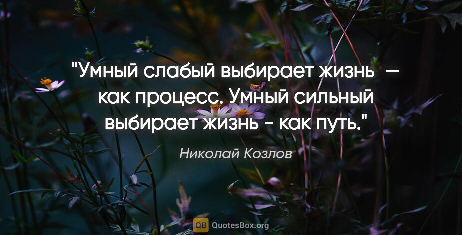 Николай Козлов цитата: "Умный слабый выбирает жизнь — как процесс. Умный сильный..."