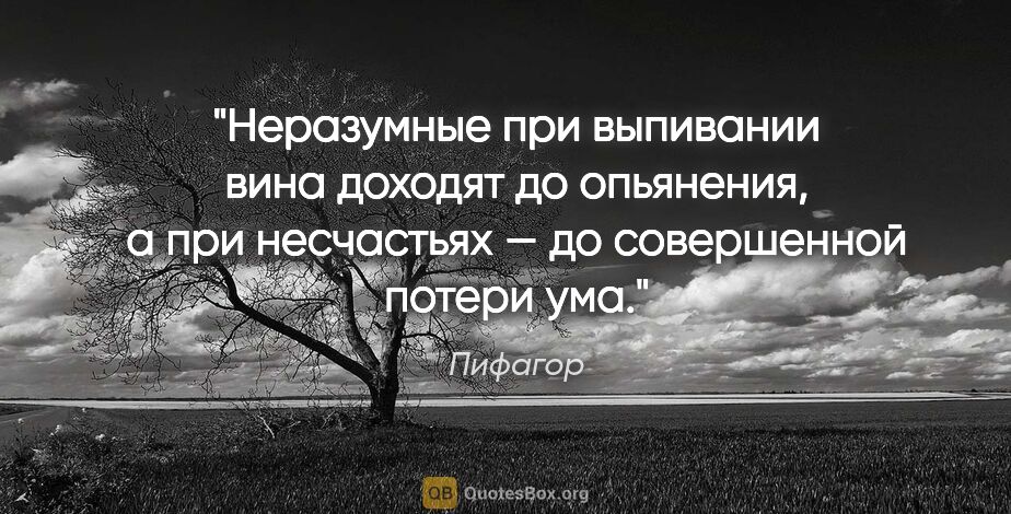 Пифагор цитата: "Неразумные при выпивании вина доходят до опьянения, а при..."