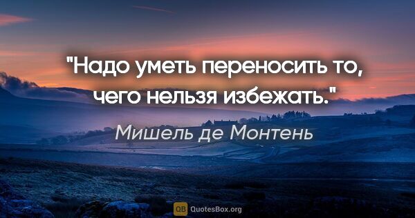 Мишель де Монтень цитата: "Надо уметь переносить то, чего нельзя избежать."