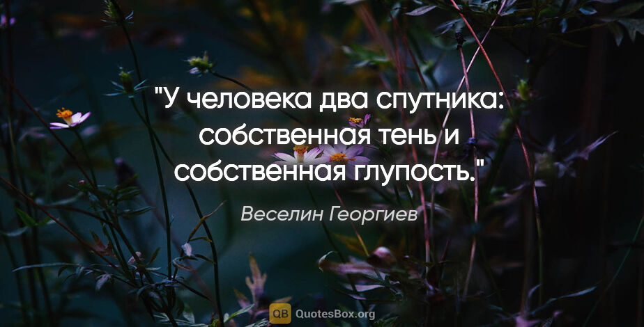 Веселин Георгиев цитата: "У человека два спутника: собственная тень и собственная глупость."