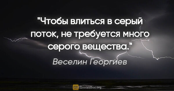 Веселин Георгиев цитата: "Чтобы влиться в серый поток, не требуется много серого вещества."