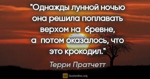 Терри Пратчетт цитата: "Однажды лунной ночью она решила поплавать верхом на бревне,..."