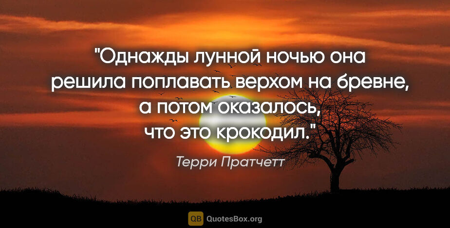 Терри Пратчетт цитата: "Однажды лунной ночью она решила поплавать верхом на бревне,..."