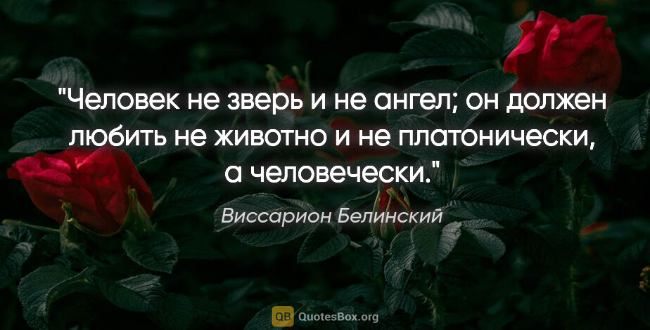 Виссарион Белинский цитата: "Человек не зверь и не ангел; он должен любить не животно..."