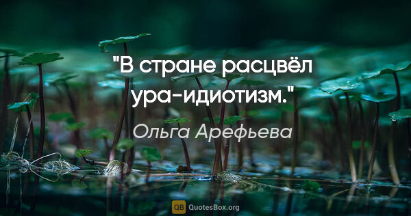 Ольга Арефьева цитата: "В стране расцвёл ура-идиотизм."
