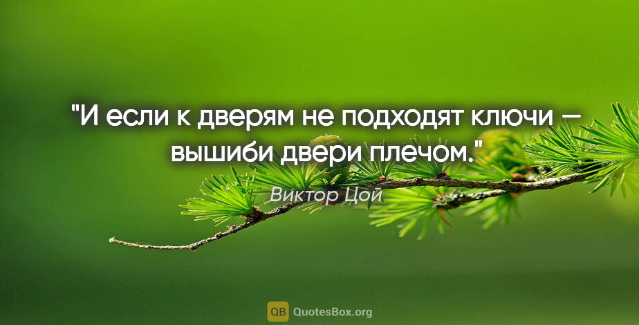 Виктор Цой цитата: "И если к дверям не подходят ключи — вышиби двери плечом."