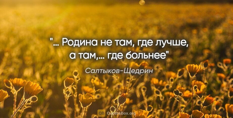 Салтыков-Щедрин цитата: "… Родина не там, где лучше, а там,… где больнее"
