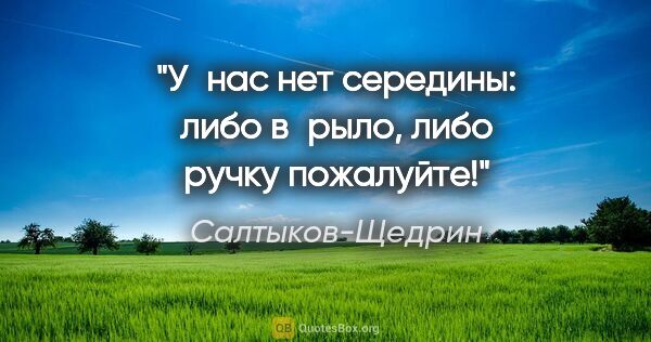 Салтыков-Щедрин цитата: "У нас нет середины: либо в рыло, либо ручку пожалуйте!"