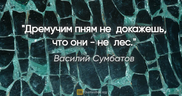 Василий Сумбатов цитата: "Дремучим пням не докажешь, что они - не лес."