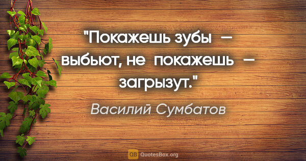 Василий Сумбатов цитата: "Покажешь зубы — выбьют, не покажешь — загрызут."