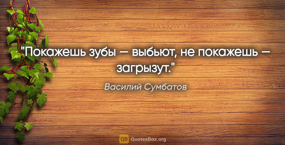Василий Сумбатов цитата: "Покажешь зубы — выбьют, не покажешь — загрызут."