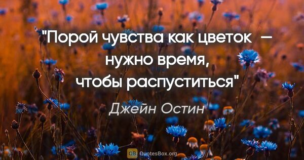 Джейн Остин цитата: "Порой чувства как цветок — нужно время, чтобы распуститься"