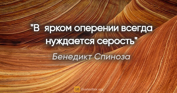 Бенедикт Спиноза цитата: "В ярком оперении всегда нуждается серость"