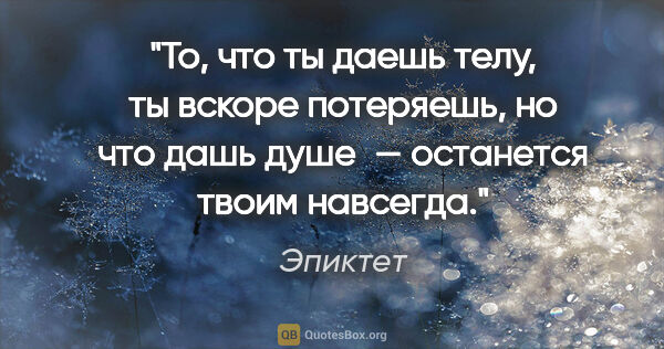 Эпиктет цитата: "То, что ты даешь телу, ты вскоре потеряешь, но что дашь душе —..."